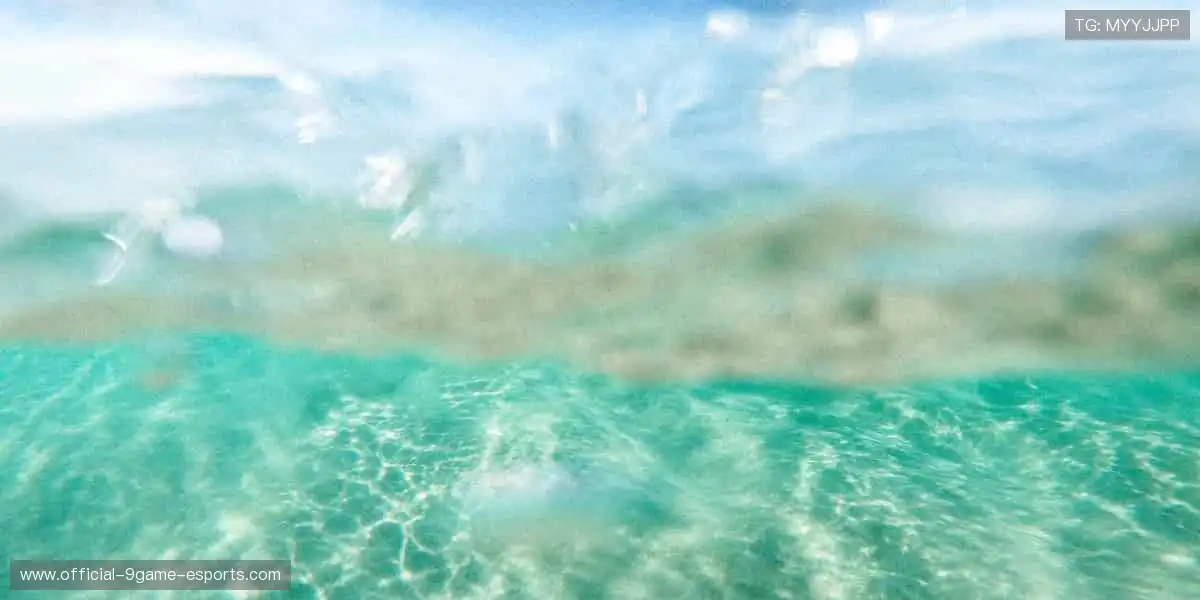 🎁 限量好礼，用热爱为偶像打 call！🎉